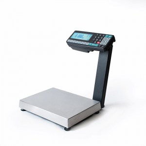 Весы технические Масса-К MK-RA11
