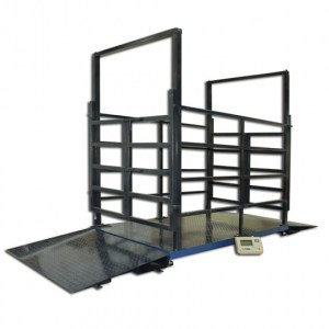 МП ВЕД(Ж)А Ф-1 «Живой вес»